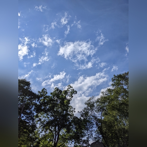 Crafted In West Virginia - Picture 14 of 16